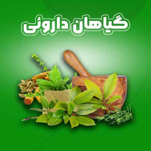 گیاهان دارئی