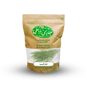 دم اسب